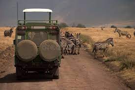 3-Day Nyerere National Park Safari Camping Adventure